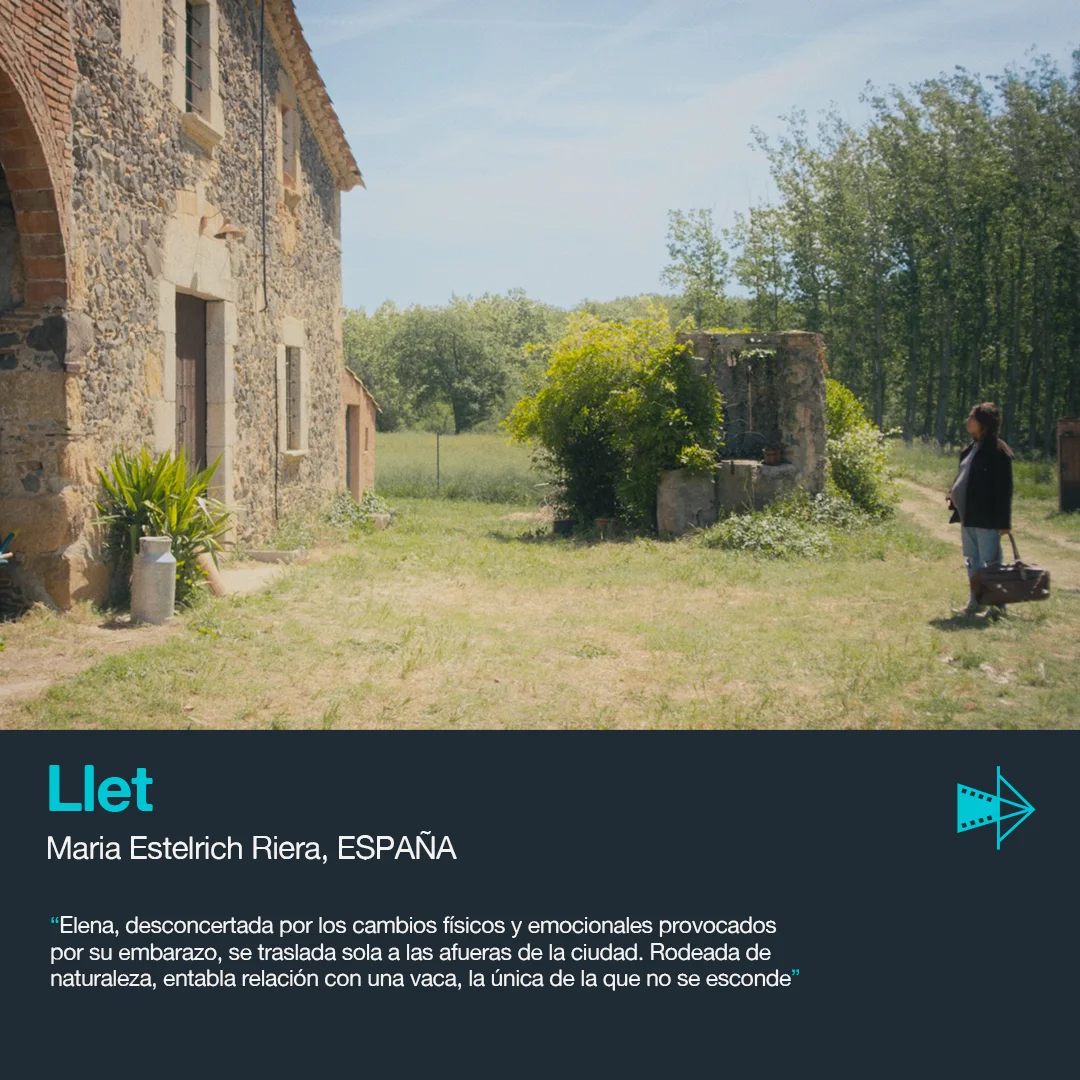 Llet — Maria Estelrich Riera
