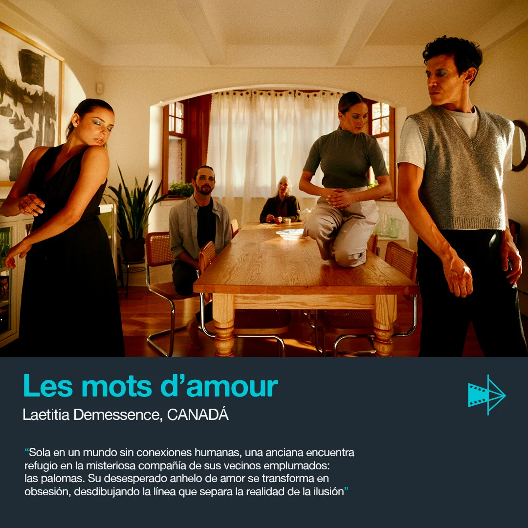 Les mots d'amour — Laetitia Demessence