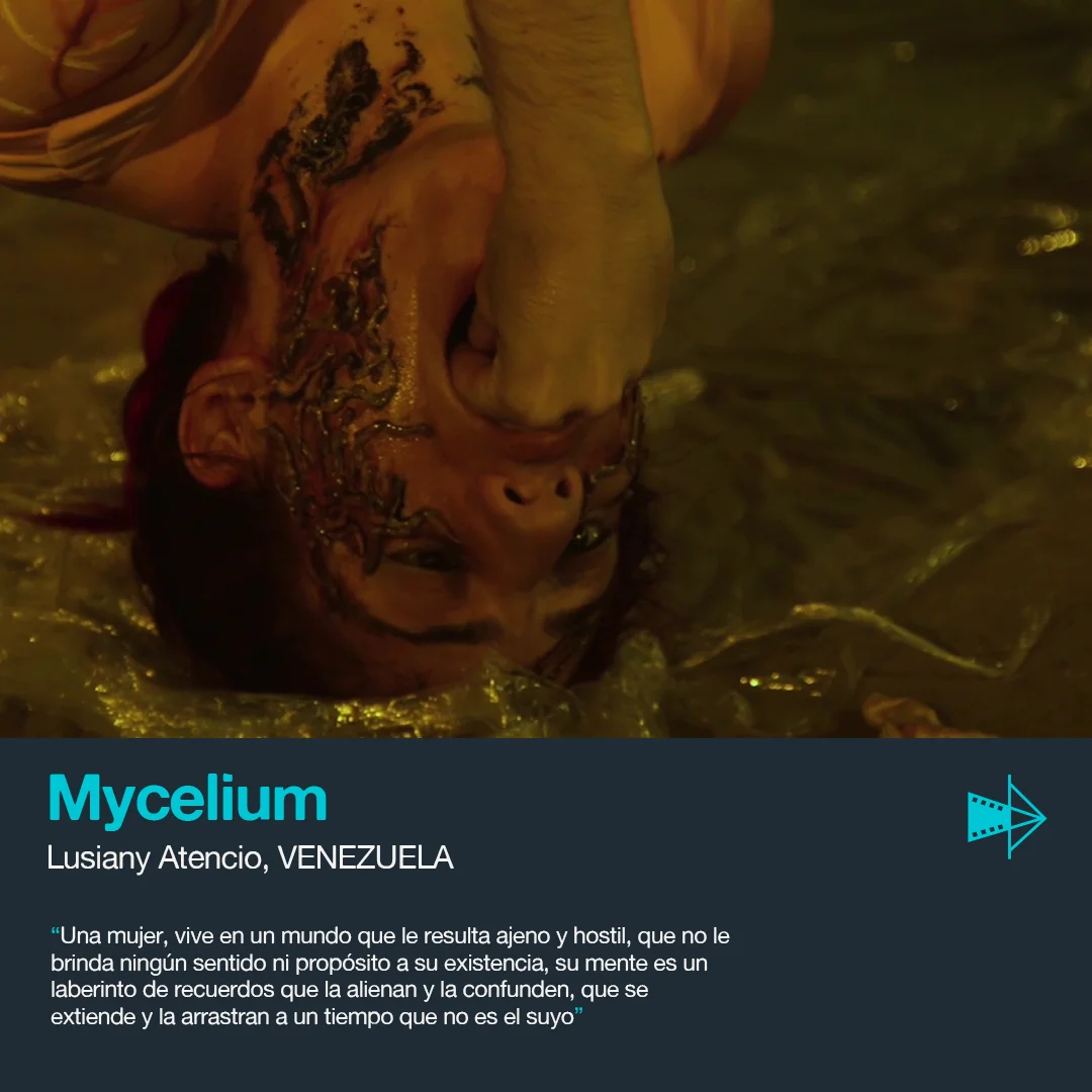 Mycelium — Lusiany Atencio