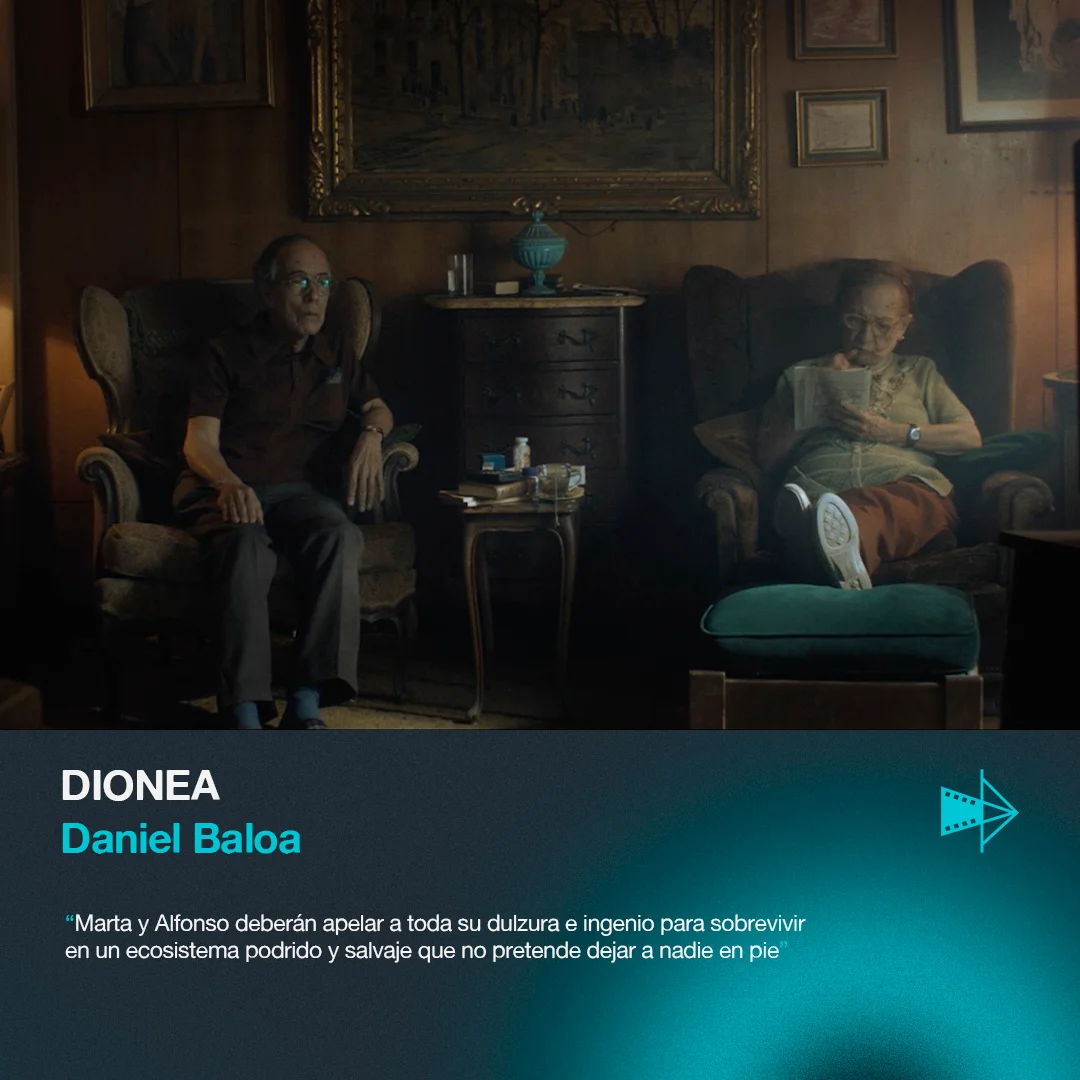 Dionea — Daniel Baloa