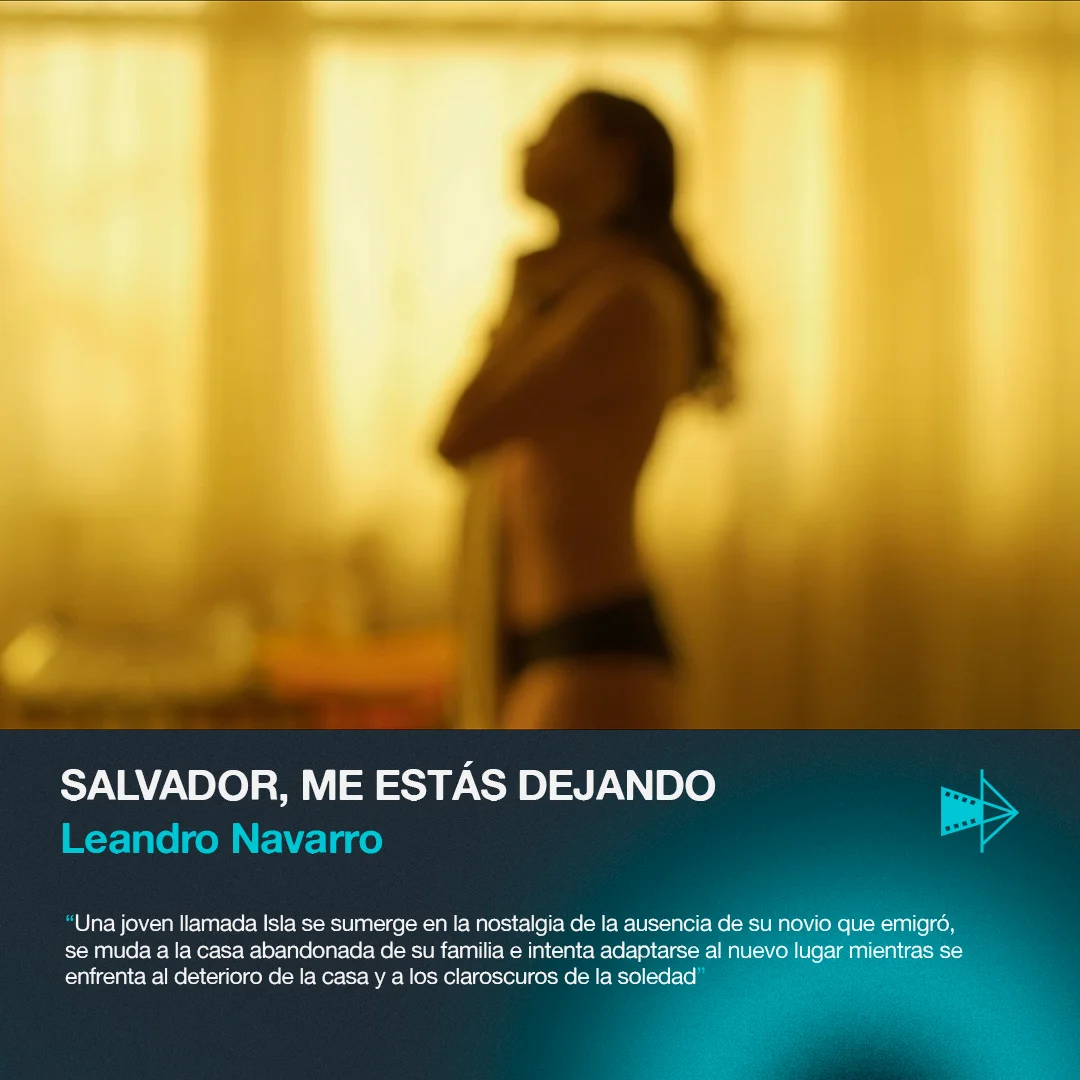 Salvador, Me Estás Dejando — Leandro Navarro