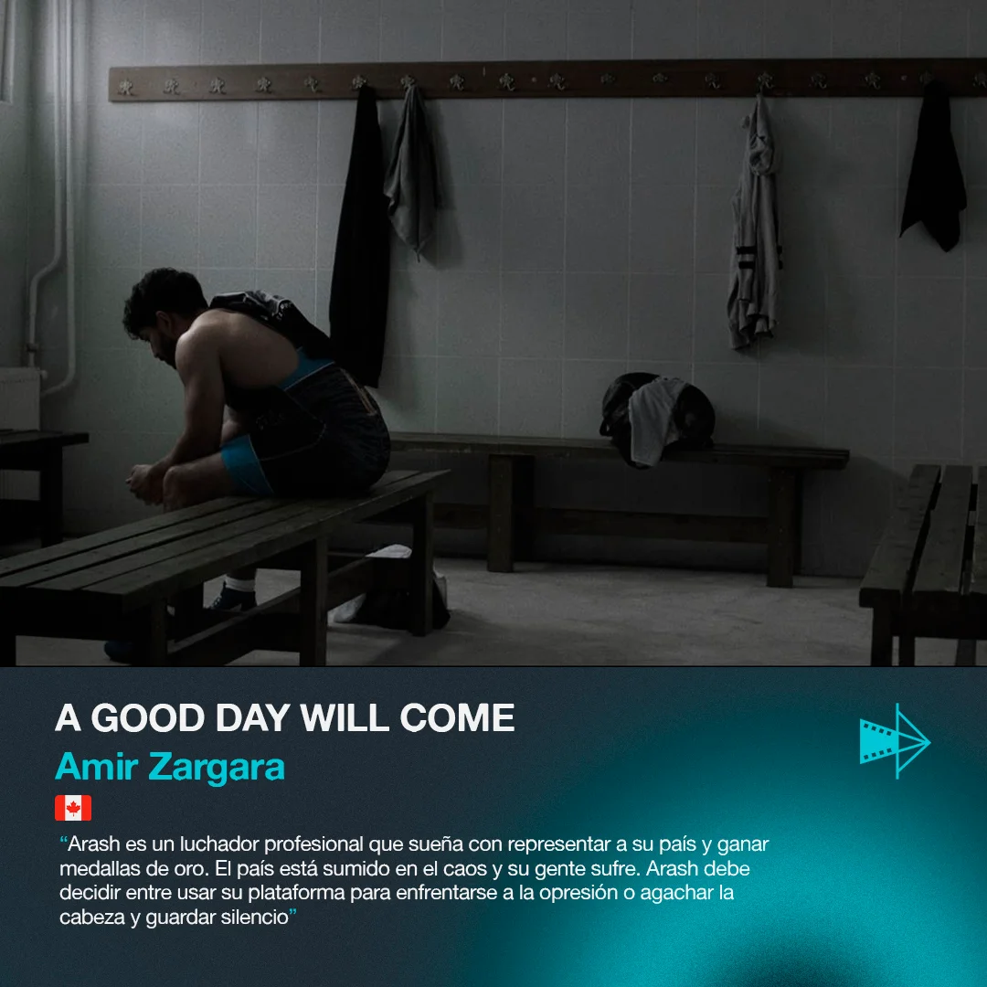 A Good Day Will Come — Amir Zargara