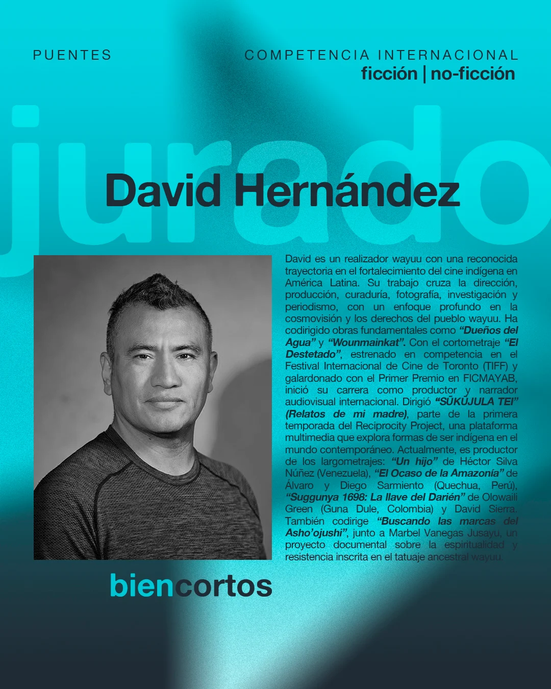 David Hernández — Jurado Puentes