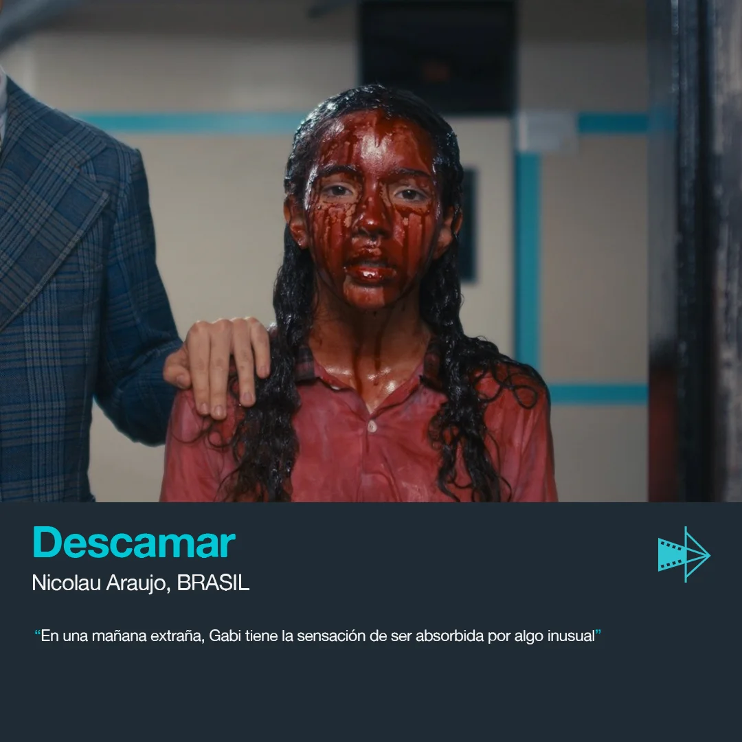 DESCAMAR — Nicolau Araujo